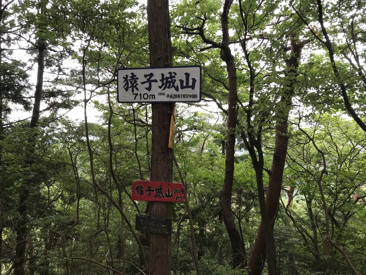 画像15