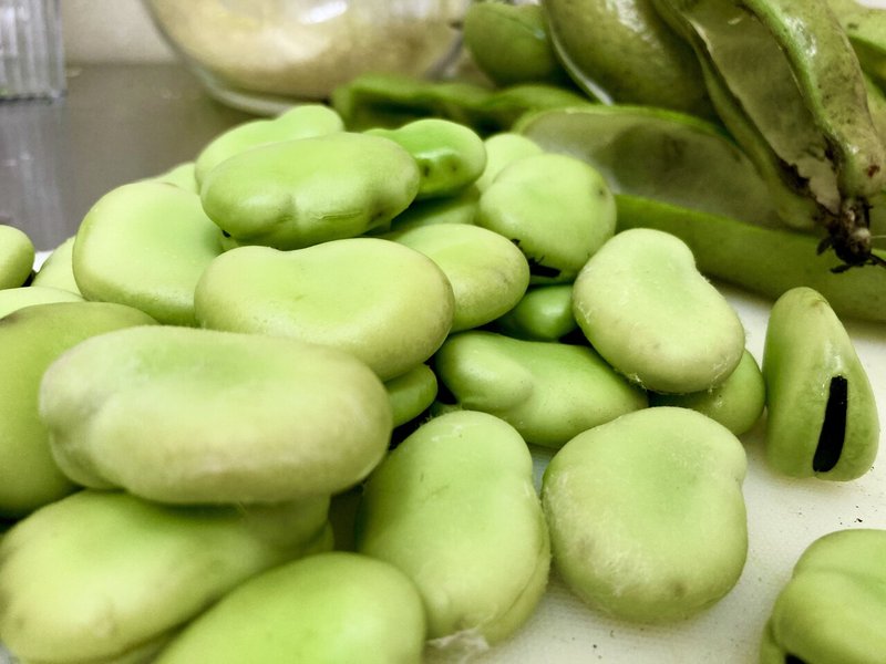 芒種 No 13 夏空に憧れたそら豆のポタージュ まつばらあや Note