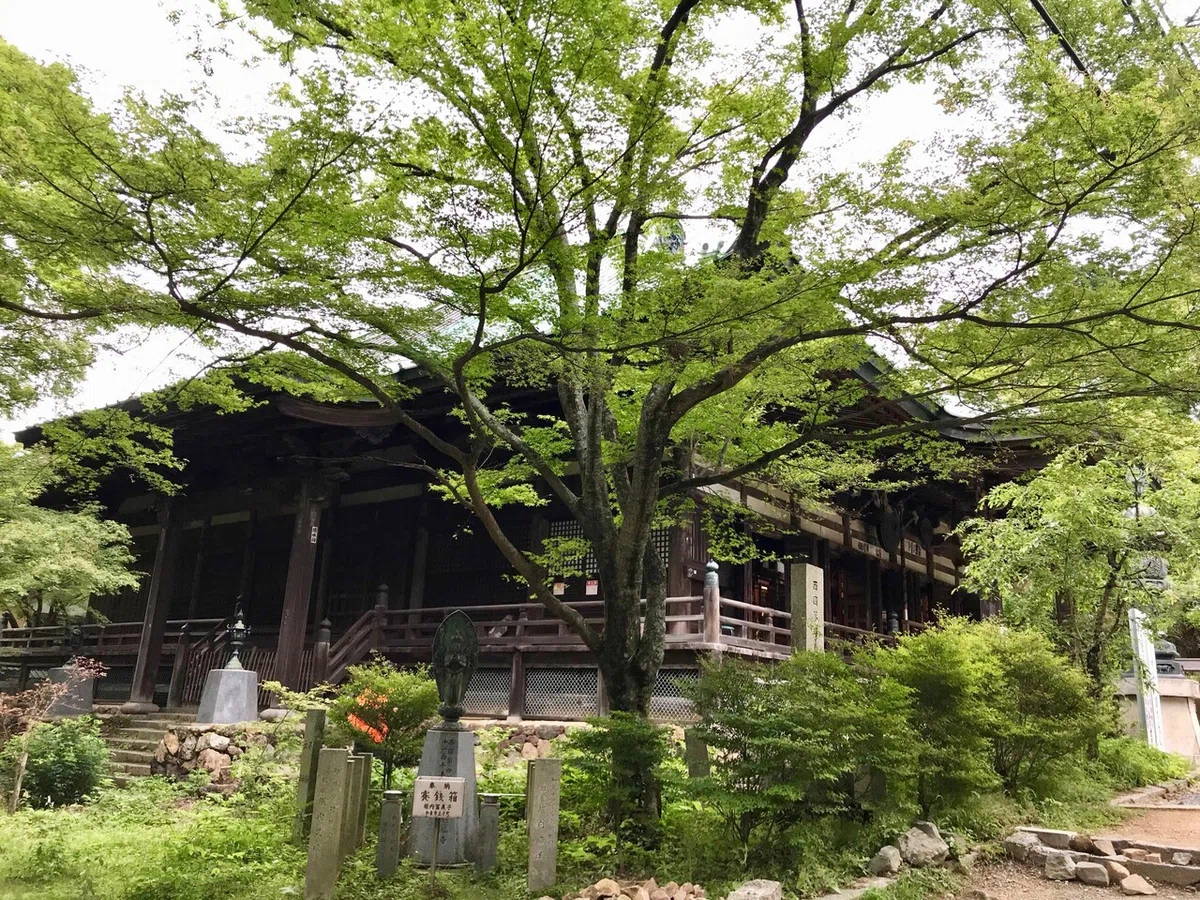 画像17