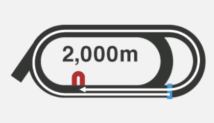 6 9 東京ダービー 血統解説 パドック込み予想 大吉 血統とパドック予想 Note