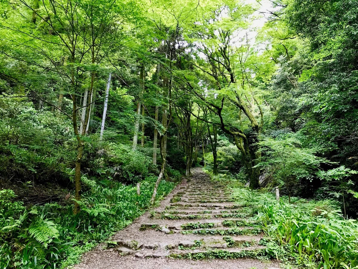 画像18