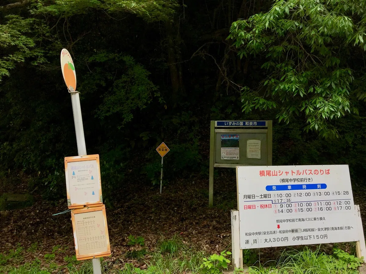 画像19