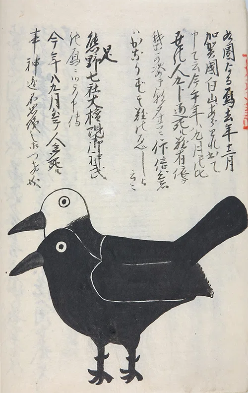 18】双頭のカラスを見に行く日｜マキタカシ ｜ タカッサンの100の舟歌