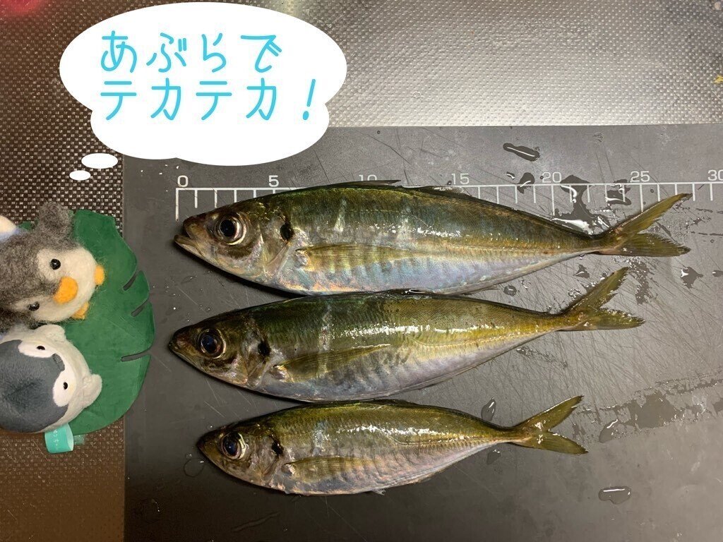 クリスター60フォーカスのレビュー|今日のアジはどんな味 クリスター60フォーカスのレビュー|今日のアジはどんな味