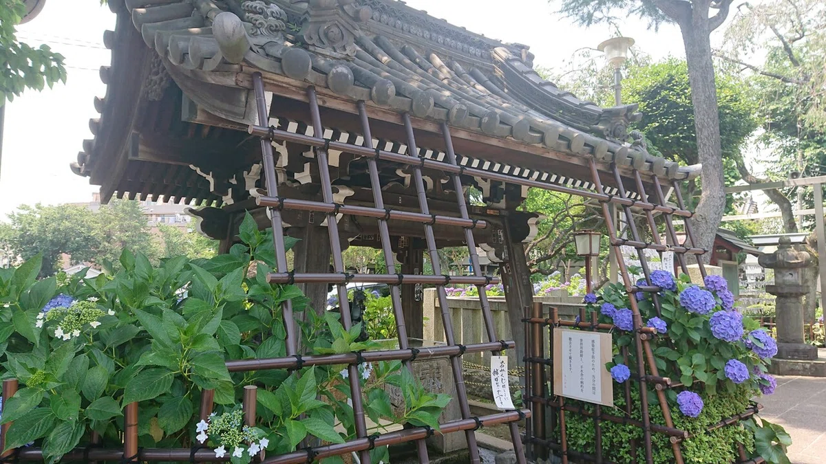画像3