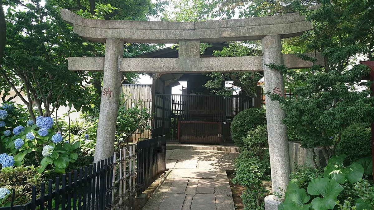 画像8