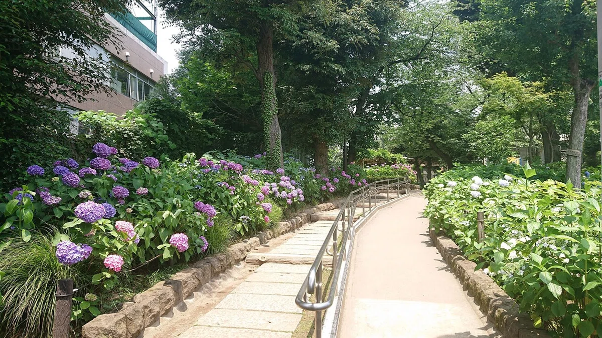 画像11
