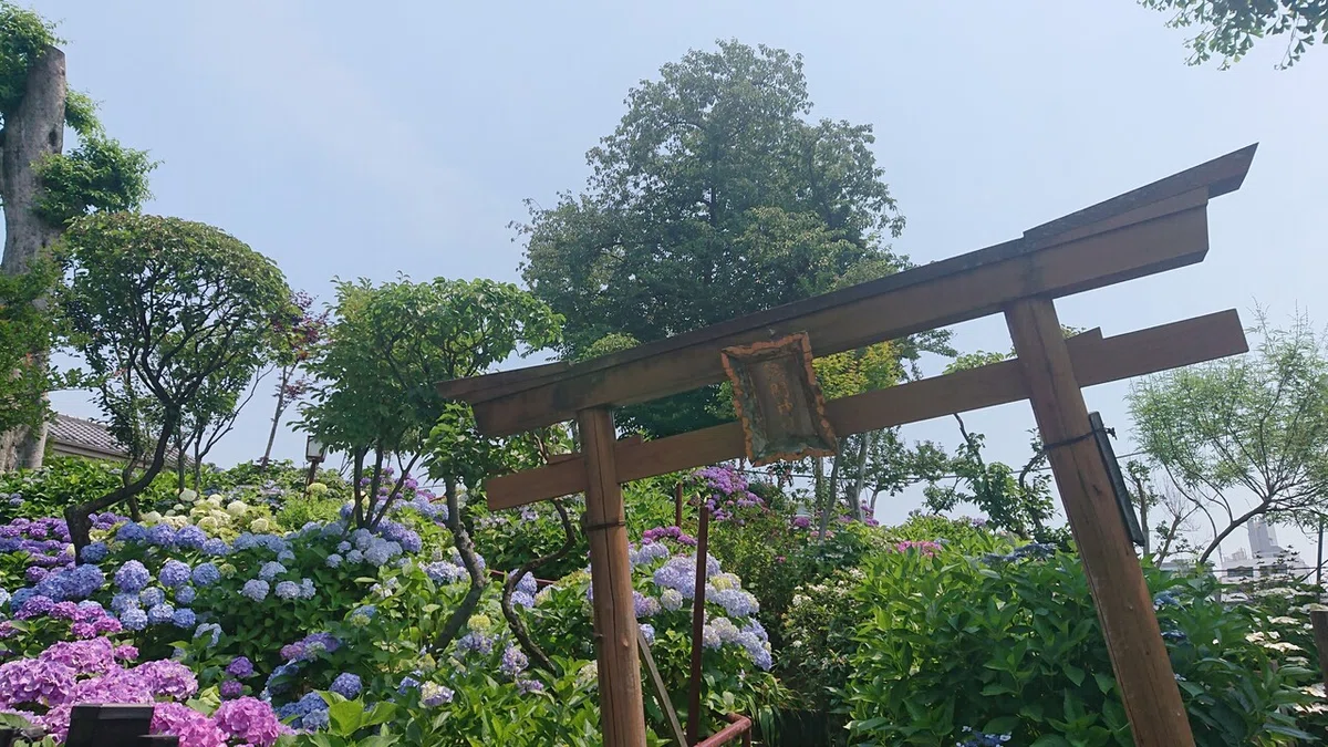 画像12