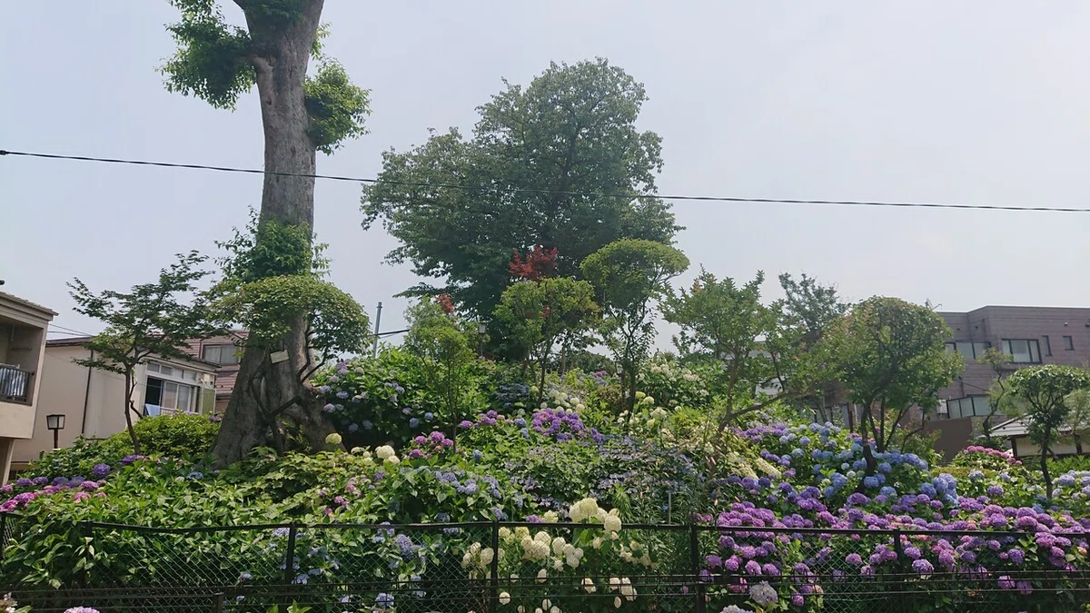 画像13