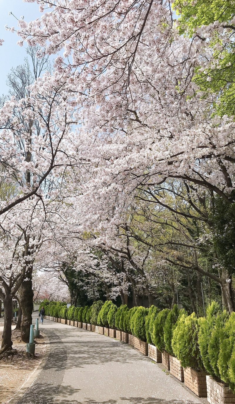 ぬい撮りレポート Beastars 東武動物公園 21 04 01 まをぢ Note