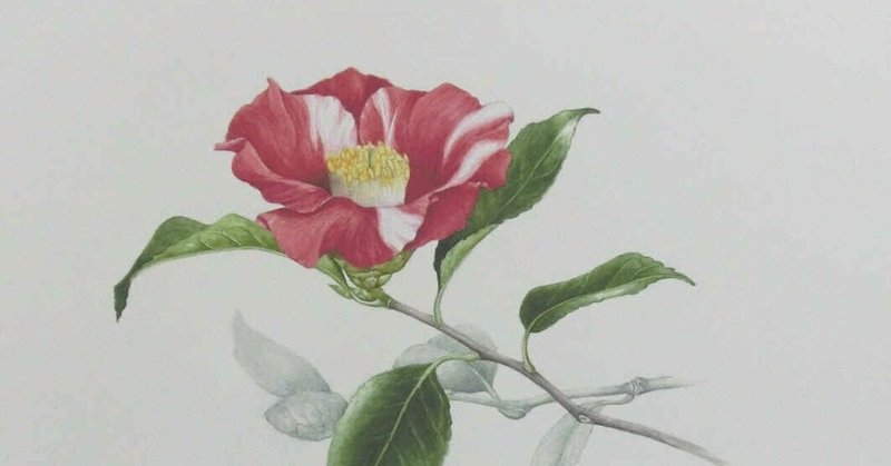 江戸椿 の新着タグ記事一覧 Note つくる つながる とどける