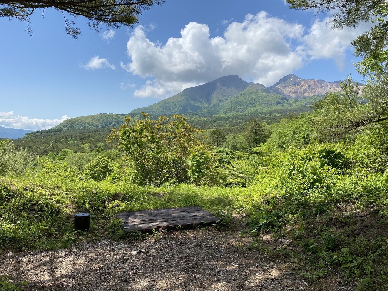 Hana Tutumiのしごととくらし No.26|Hana Tutumi|note