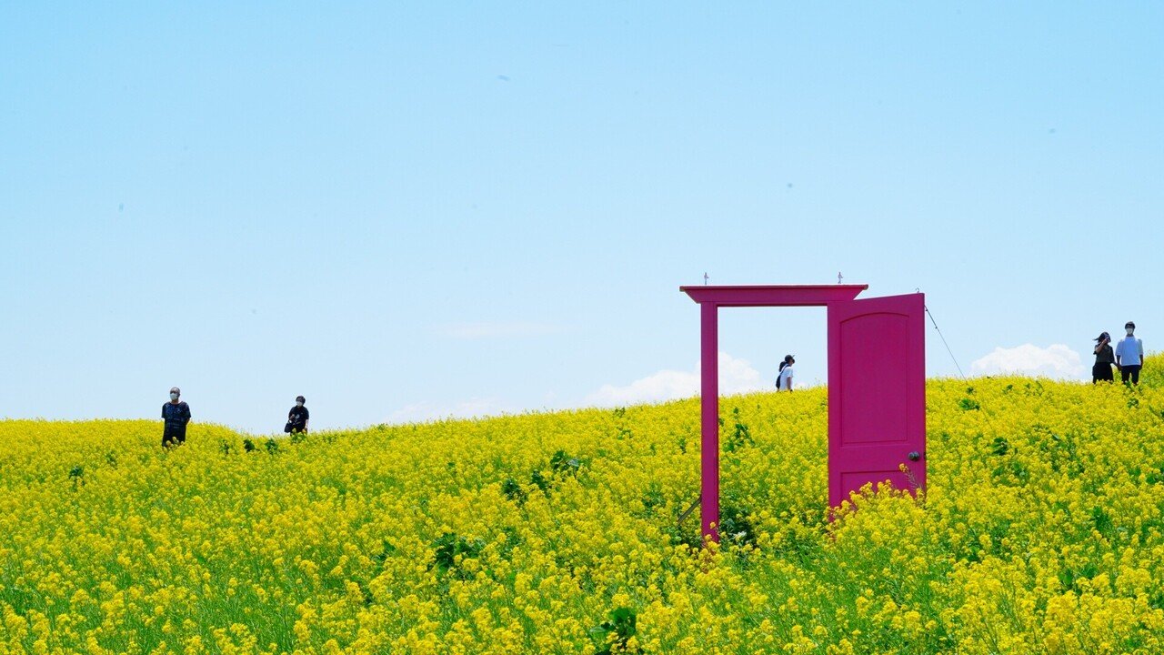 どこでもドアと菜の花畑と青空と ご近所カメラマン ツッシー Note