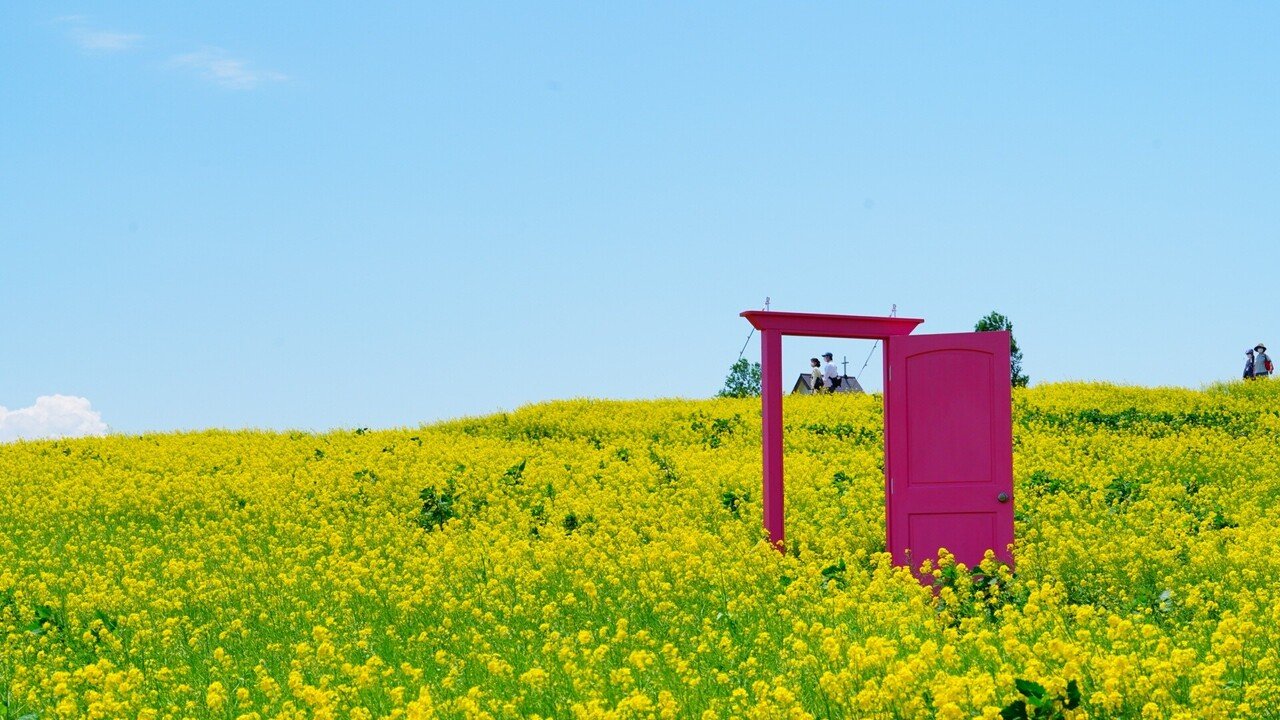 村上隆 「どこでもドア」でお花畑にやってきた！ | 絵画など美術