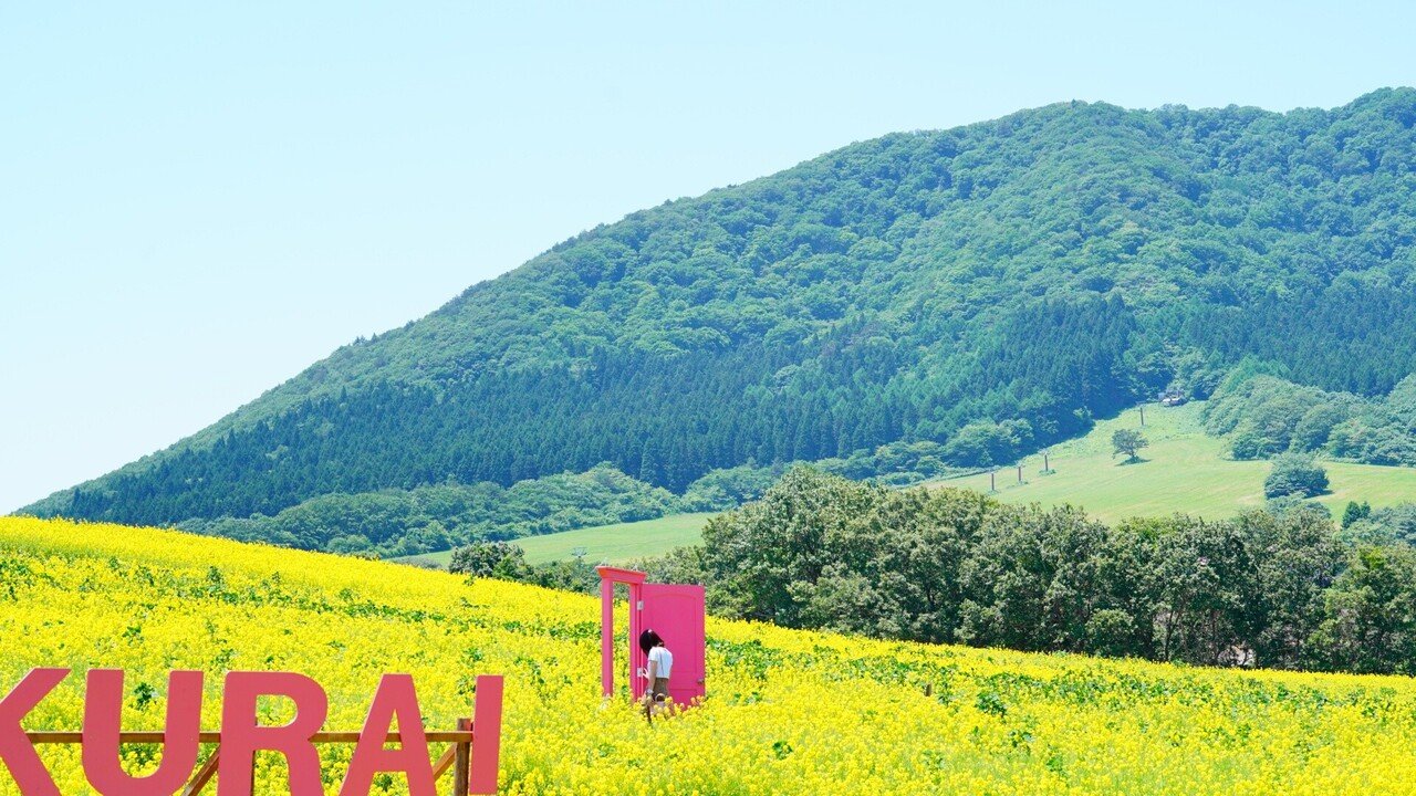 どこでもドアと菜の花畑と青空と ご近所カメラマン ツッシー Note