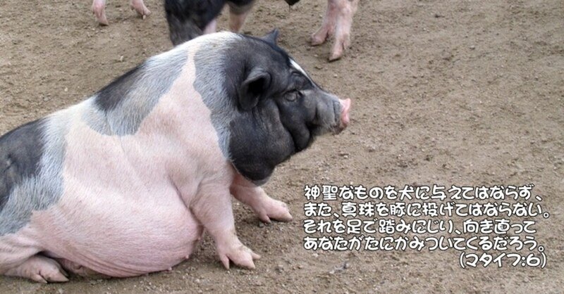 豚に真珠 の新着タグ記事一覧 Note つくる つながる とどける 豚に真珠 の新着タグ記事一覧 Note つくる つながる とどける