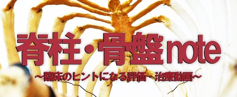 meta-zahren-349109のコピー