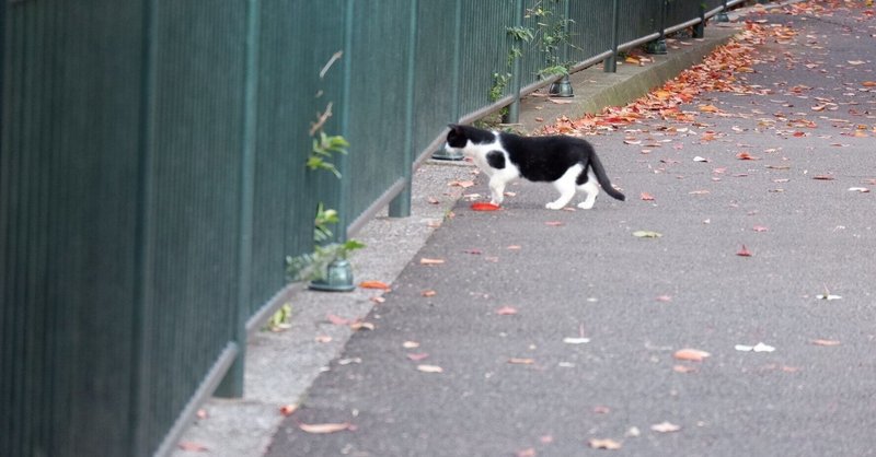 人に合わせてしまう 優しい世界 note