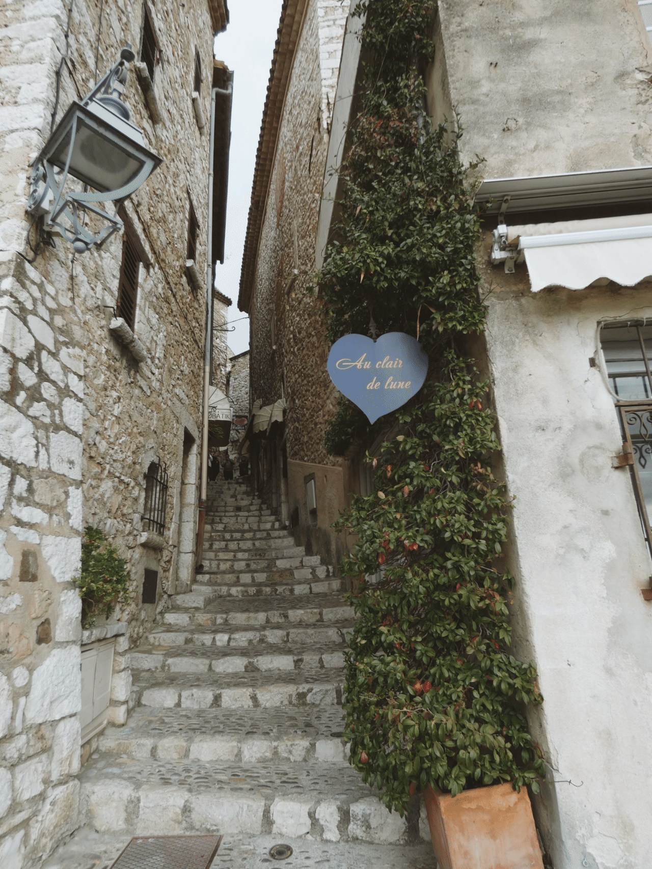 南仏 サンポールバンスの窓辺 クリスマス特集2020 - plastexpb.com.br