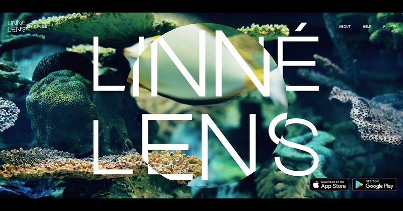あなたも魚博士 Ai図鑑アプリ Linne Lens 体験 デジタル フィジカルデザイン編集部 Note