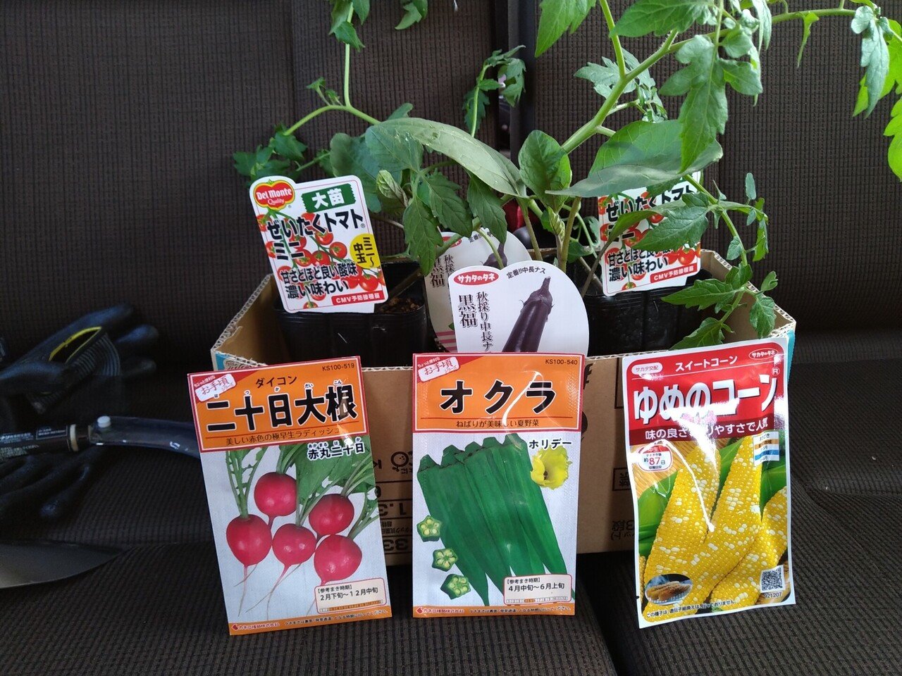 農業 ３ 究極の自然農法 竹内一斉 Note