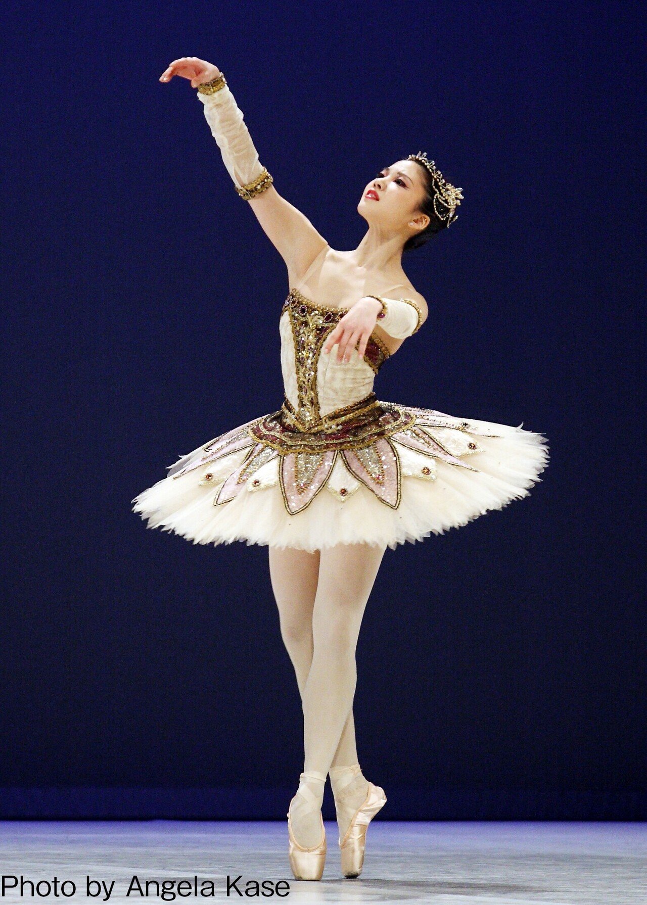 世界で活躍する日本人バレリーナ ～世界の頂点を極めるバレリーナたち