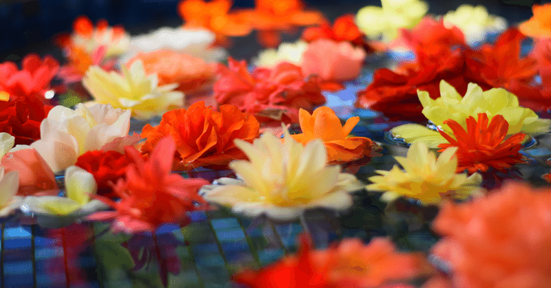 高倉健 唐獅子牡丹のモデルと言われた男 飛田東山 アウトロー年金者 兵藤恵昭 Note