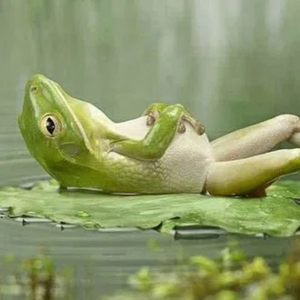 The Zen