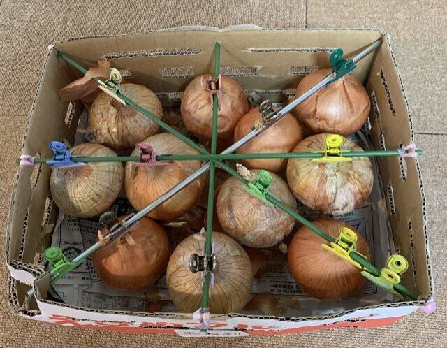 手作り 玉ねぎの保存boxを作ってみた ゆみなか 効率化オタク主婦 Note 手作り 玉ねぎの保存boxを作ってみた ゆみなか 効率化オタク主婦 Note