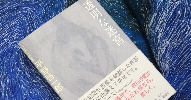透明な迷宮 を読んだ パンダ王の読書ノート Note 透明な迷宮 を読んだ パンダ王の読書ノート Note