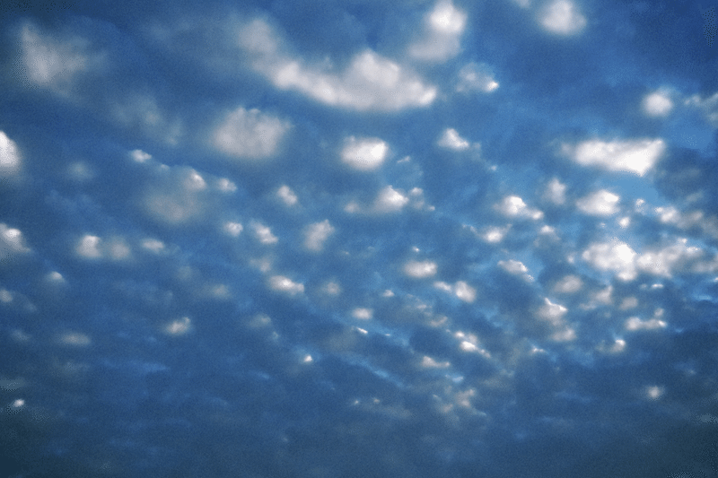 神サイライブ もんもん Note