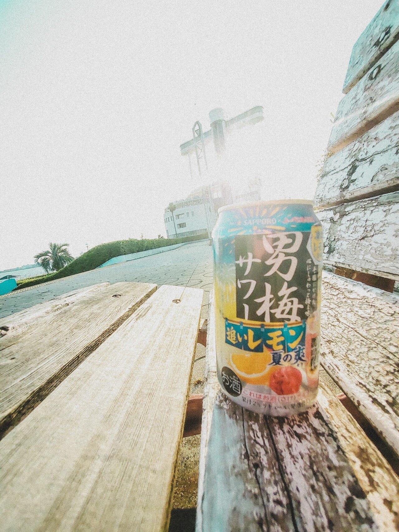 三線と海とビール ねこぢた Note 三線と海とビール ねこぢた Note