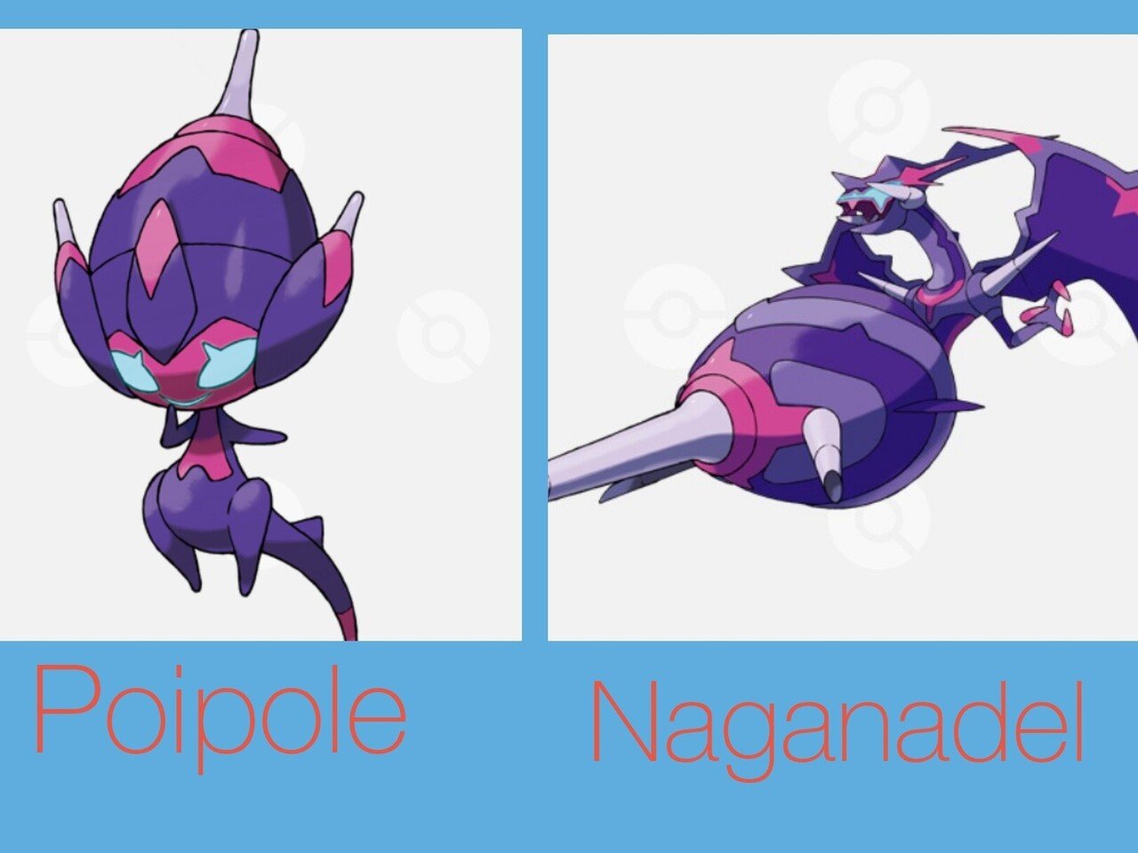 ポケモンの英語名全部覚える日記 第7世代後編 リユルン Note