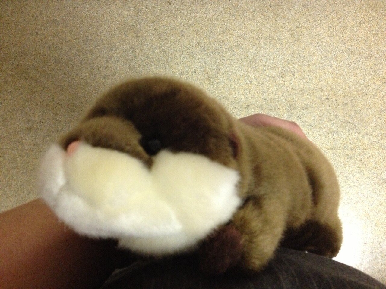 かわうそ 君に めでたく名前がつきました しんた です ところてん 心太 が由来だとか 患者様が名付けてくれました ぬいぐるみたちには伝統的 に 食べ物の名前がつくことが多い ちなみに アイコ りらの中のひと Note かわうそ 君に めでたく名前がつきました しんた です ところてん 心太 が由来だとか 患者様が名付けてくれました ぬいぐるみたちには伝統的 に 食べ物の名前がつくことが多い ちなみに アイコ りらの中のひと Note