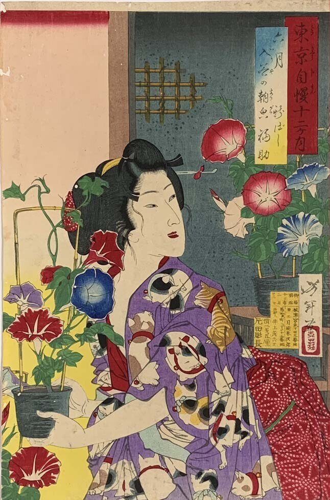 月岡芳年の猫がカワイイという話｜太田記念美術館