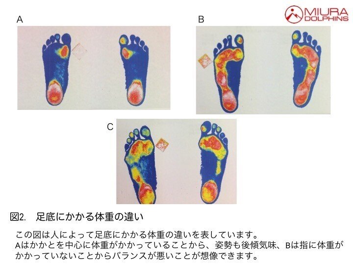 三浦雄一郎の 歩く技術 から山の歩き方を学ぶ 安藤 真由子 Mayuko Ando Note