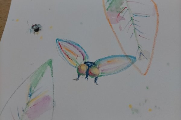 ハエイラスト の新着タグ記事一覧 Note つくる つながる とどける