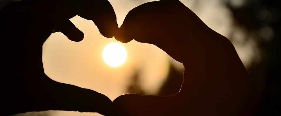 結婚相手を見ればその人が本当に求めているものが何かわかる くっぴー Note