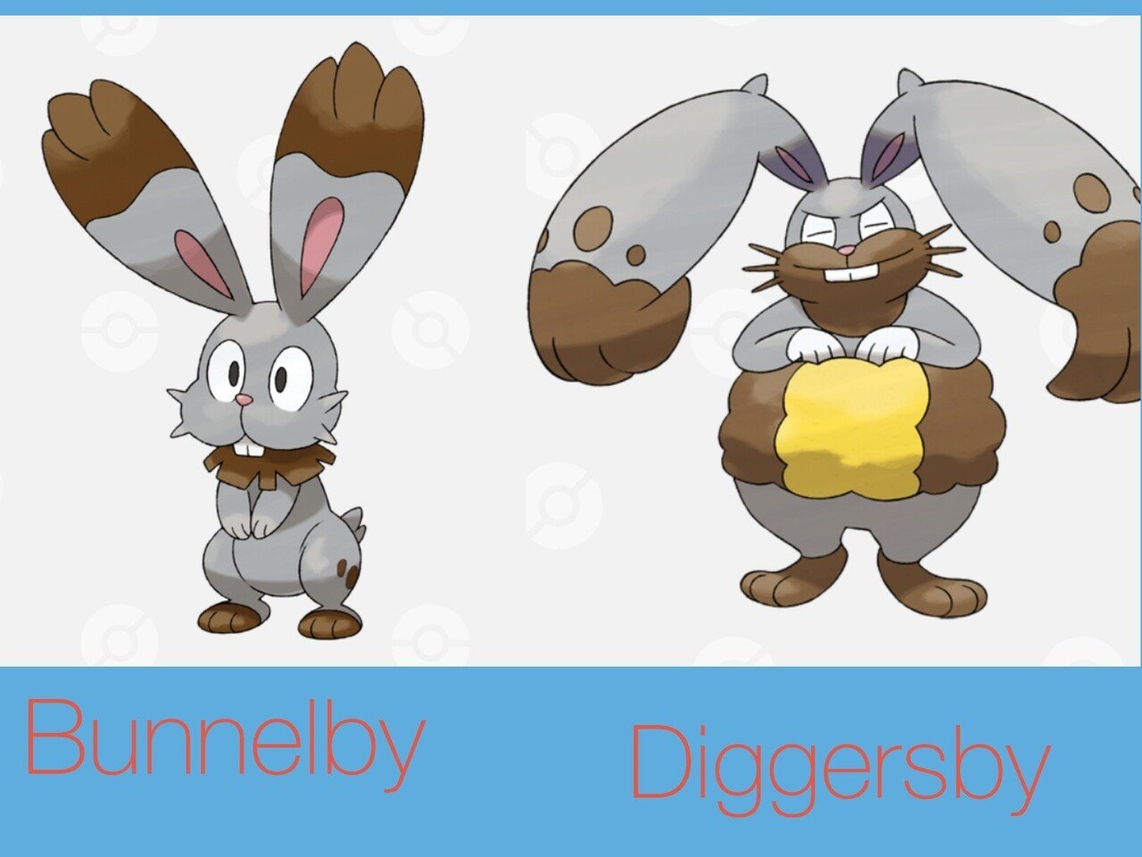 ポケモンの英語名全部覚える日記 第6世代前編 リユルン Note