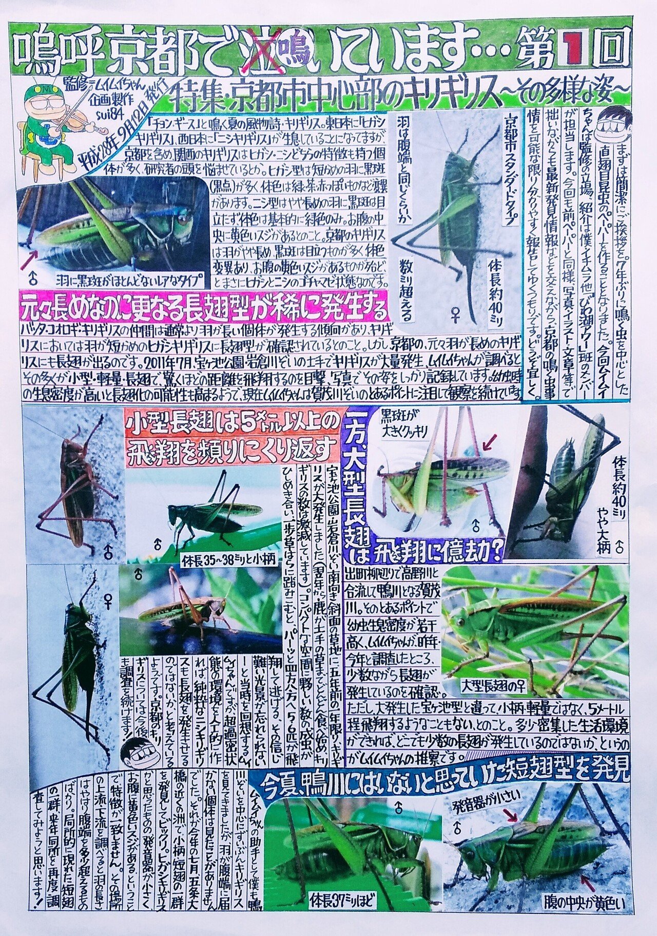 鳴く虫手作り風新聞 その1 もりのまち みずのうた Note