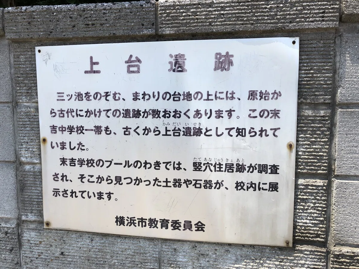 画像11