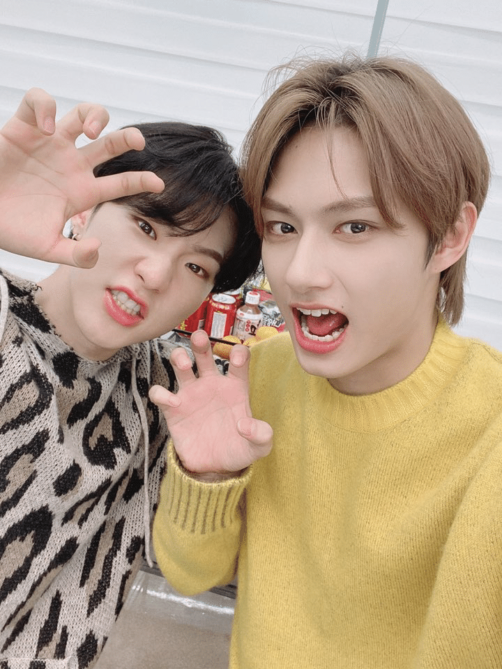 ホシの日記②｜すず🐯