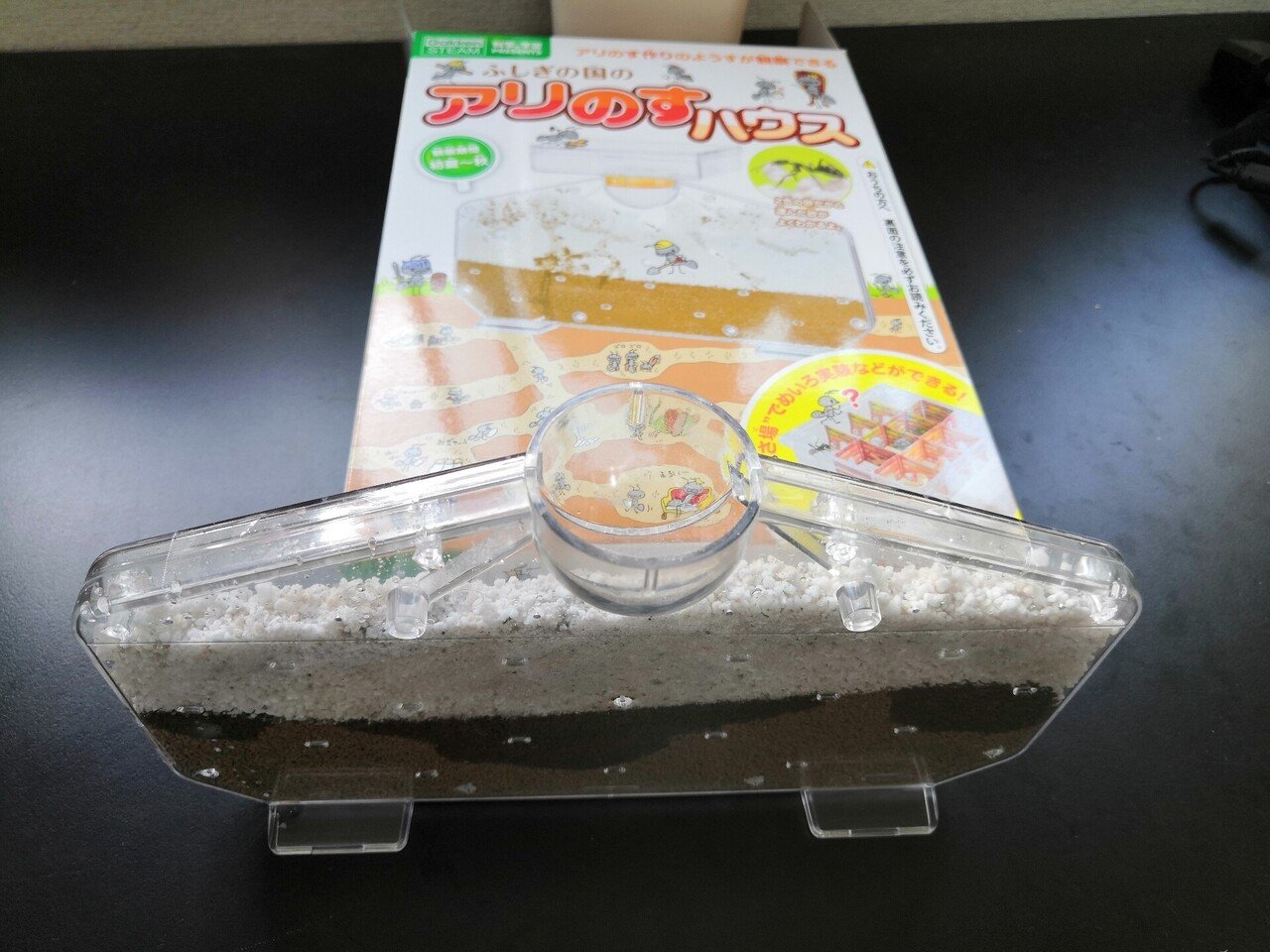 おっさん 蟻を飼う かびねこ Note