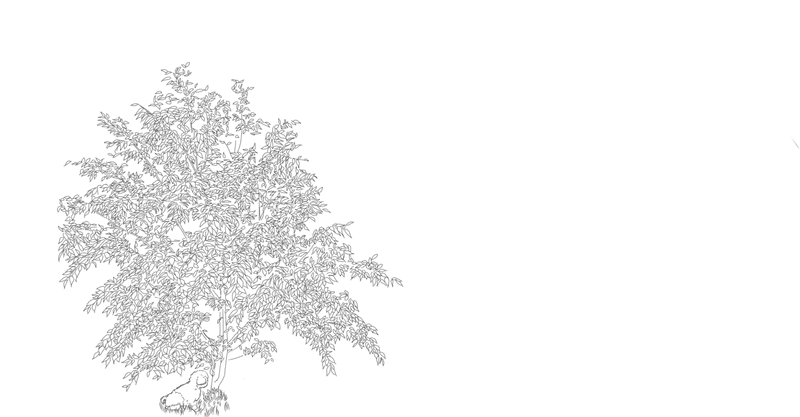 歩夢の木 歩夢 Note 歩夢の木 歩夢 Note