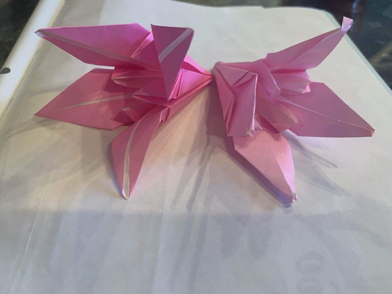 折り紙 シラちゃん Note