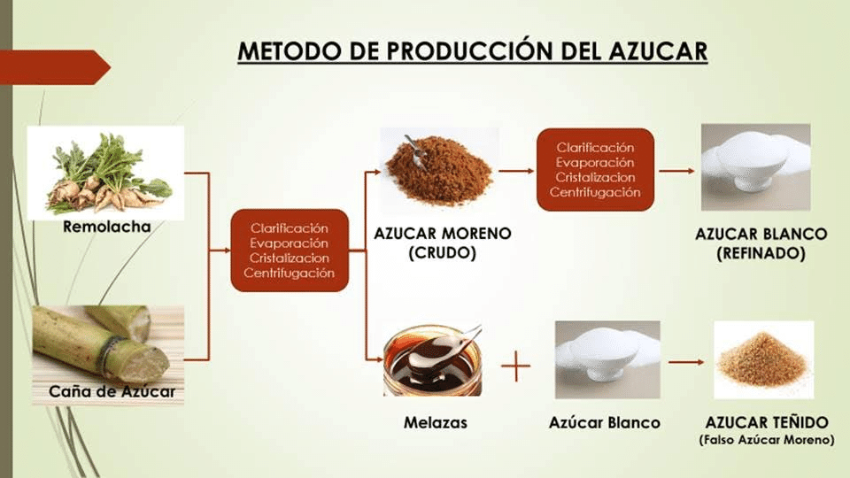 砂糖の世界は意外と深い 黒砂糖のようなパネラに迫る In Spain Sacha スペイン語 英語 日本語 Note