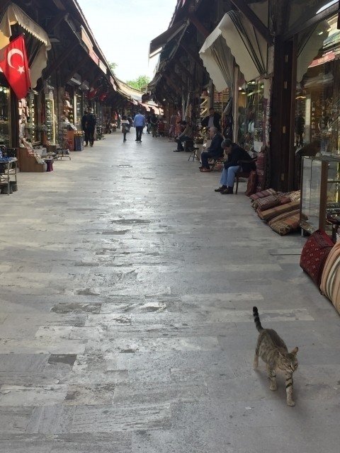 カフェはいつどこで生まれたのか？｜伊藤 尚哉(naoya ito)