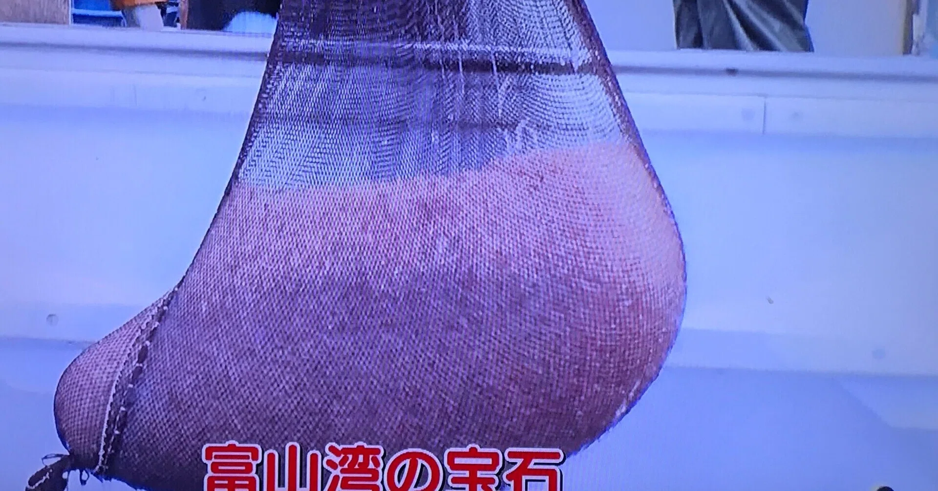 富山の「海の宝石」白エビ。オキアミとの違いがわからないんですが