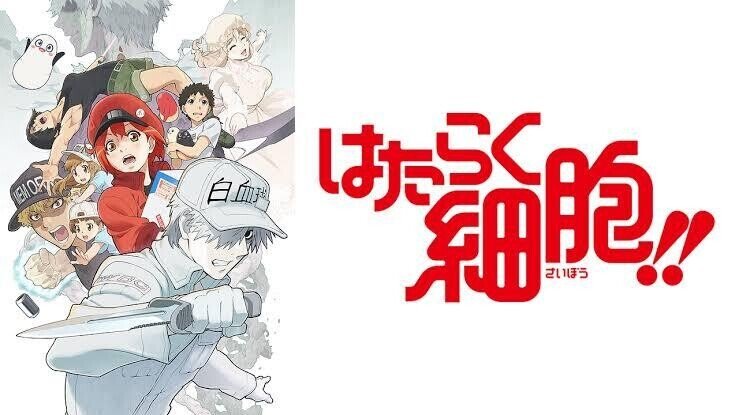 好きなアニメ一覧 中編 Vier Note