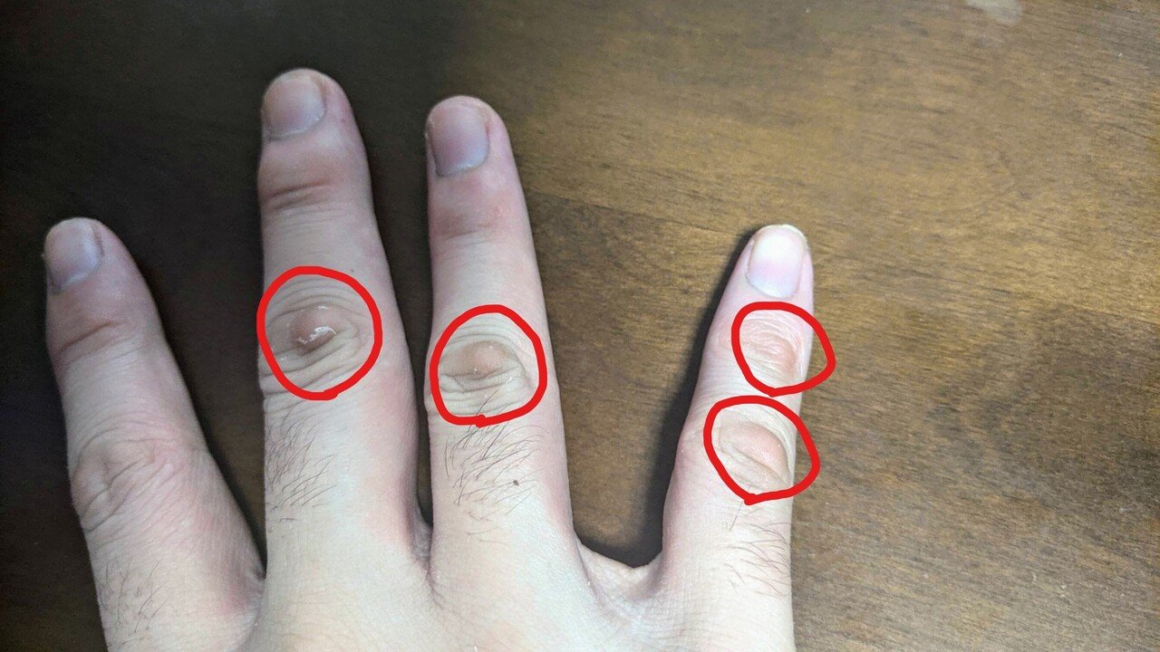 職業だこ Migmin Note 職業だこ Migmin Note